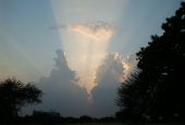 IIP Online Student Photography
